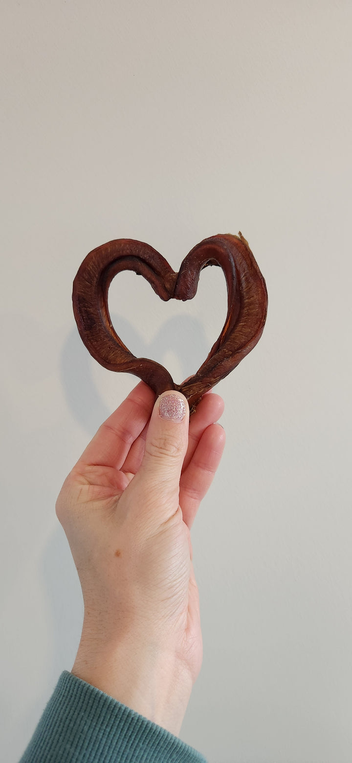 Bâton de boeuf en forme de coeur (Bully)