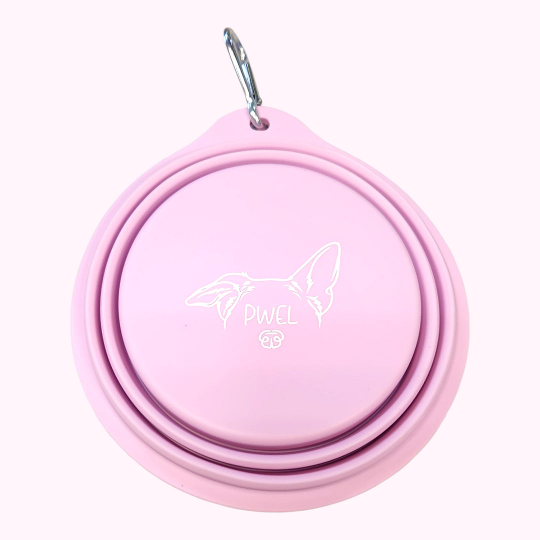 Pwel bol rétractable en silicone