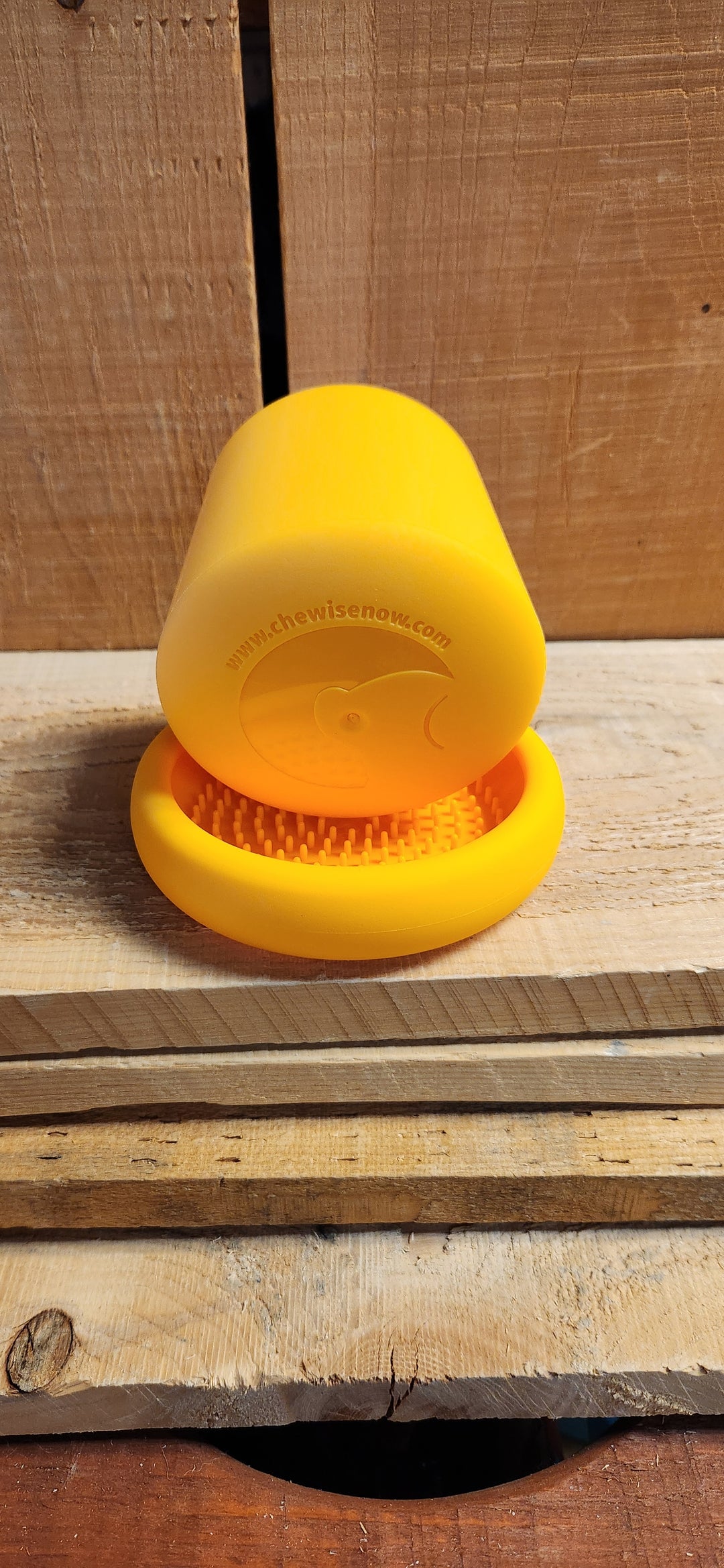 Chewise bol interactif 2 en 1