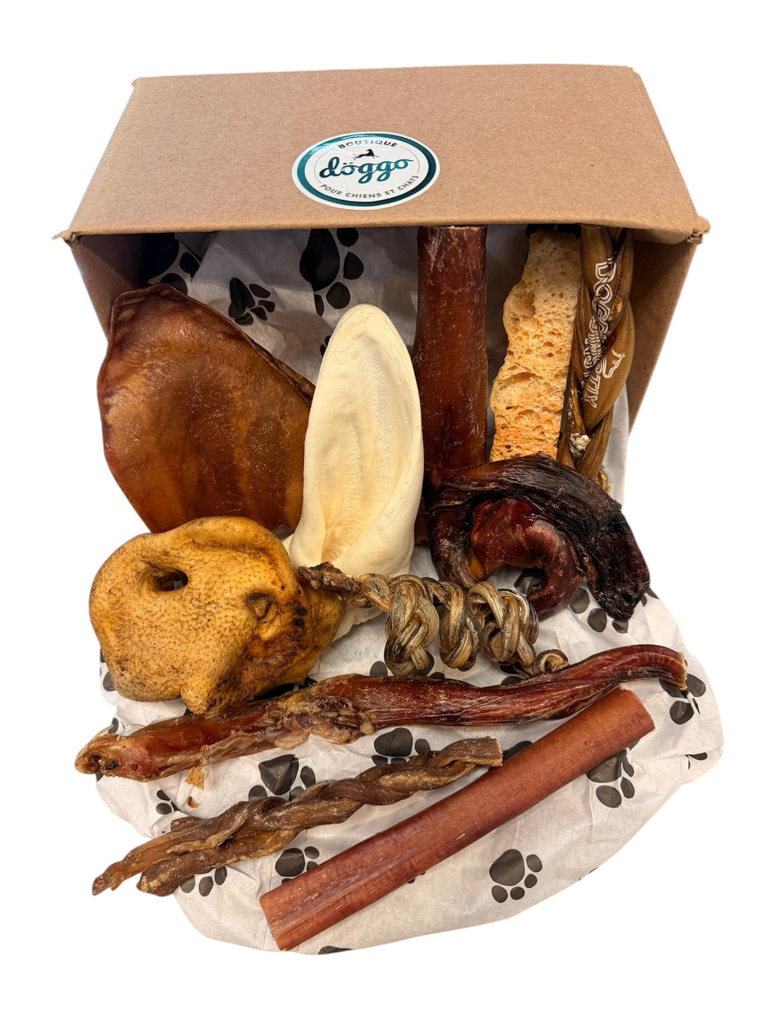Boutique Döggo boîte de mastication - Petit Grugeur