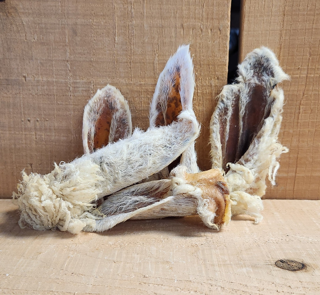 Bullsters oreille de mouton avec poils