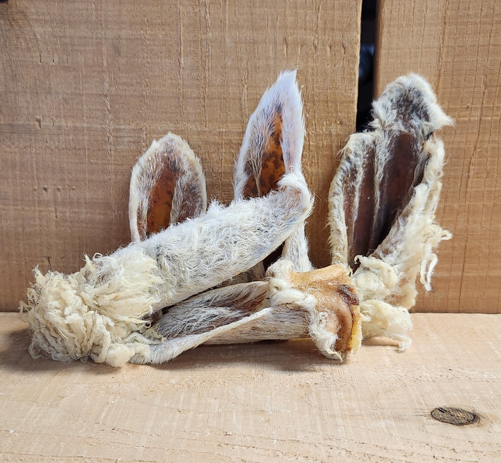 Bullsters oreille de mouton avec poils