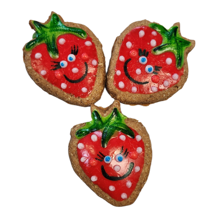 Miouf biscuits pour chiens Collection Printemps