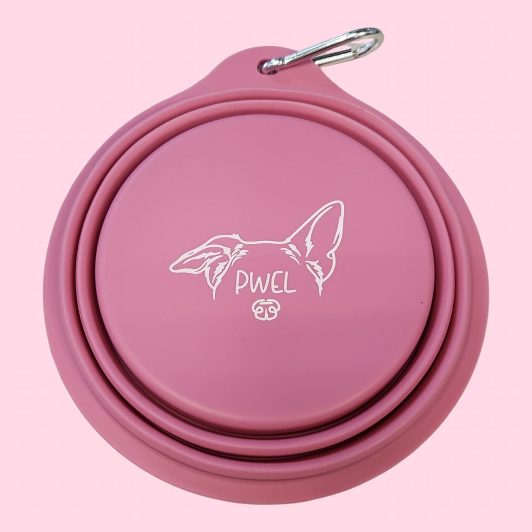 Pwel bol rétractable en silicone