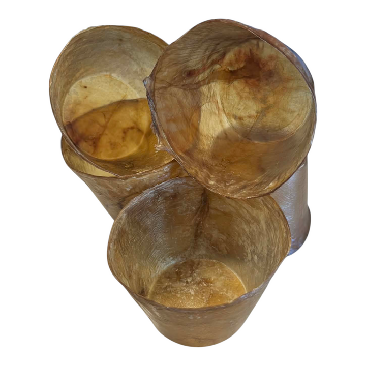 Panier de vessie de boeuf - Paquet économique 5 pour 4