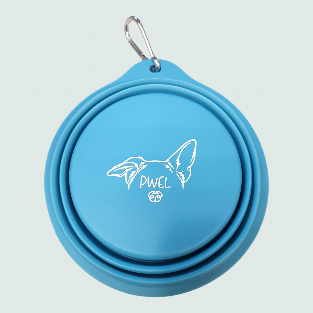 Pwel bol rétractable en silicone