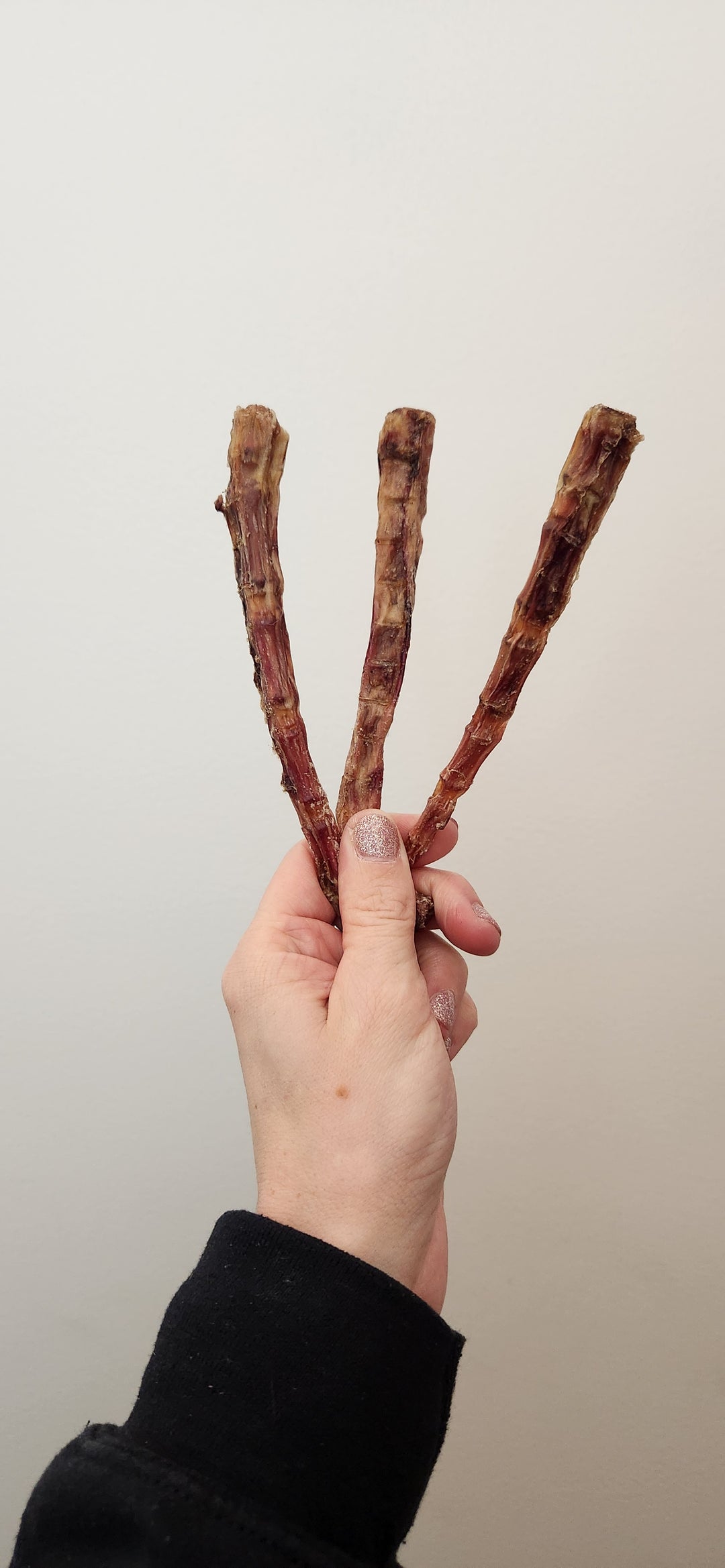 Grand Valley Quail queue de vache déshydratée