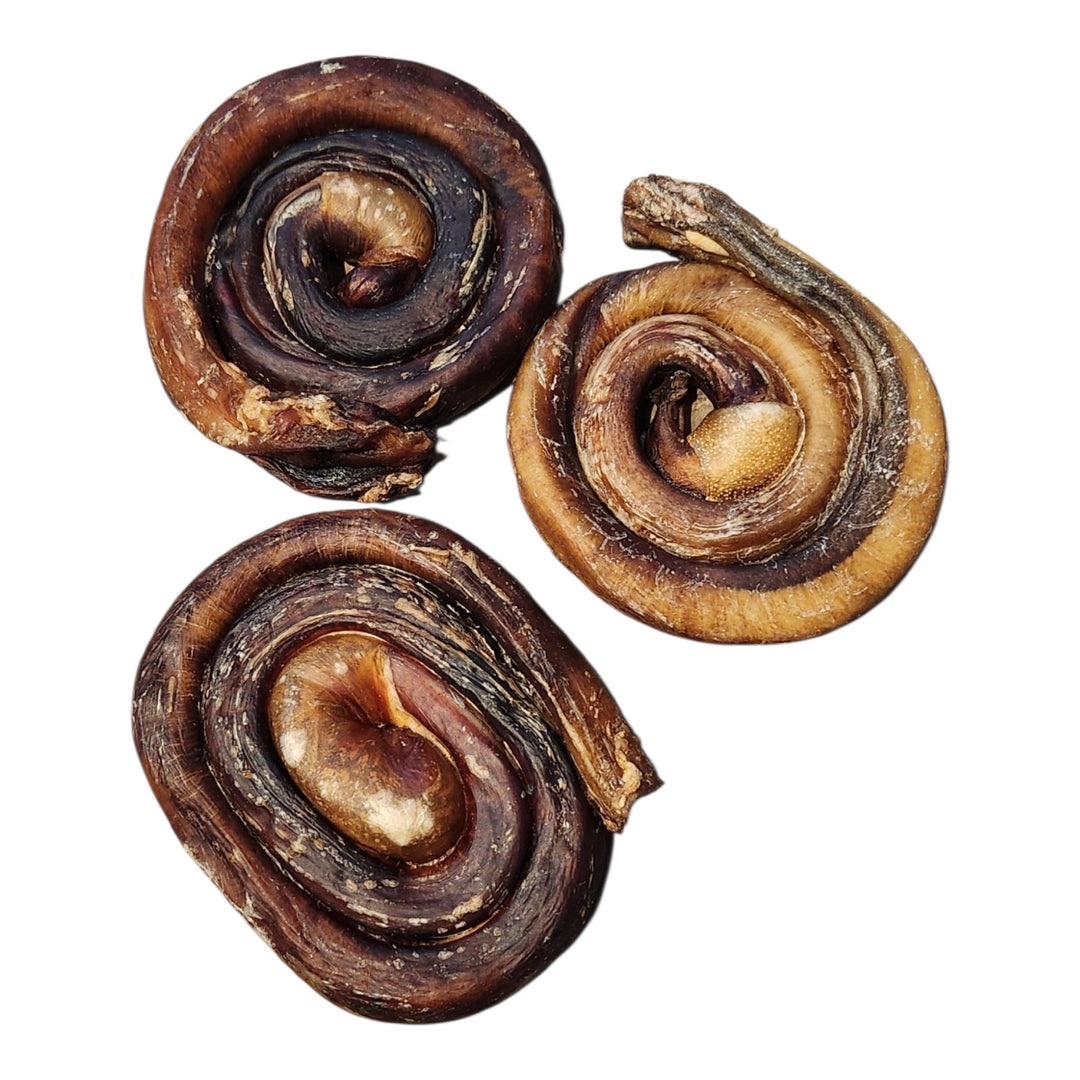 Brioche de bully de boeuf Jumbo