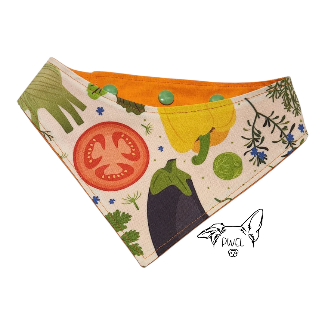PWEL foulards pour chats et chiens Collection 2026