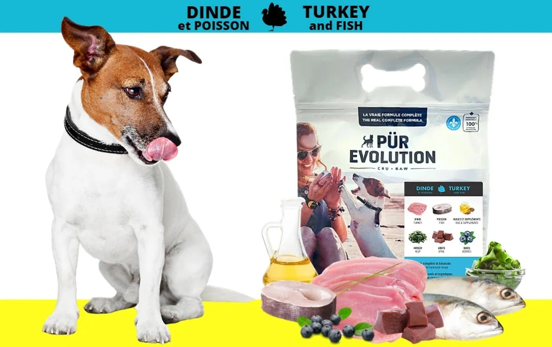 Pür Evolution nourriture crue pour chiens Dinde et Poisson