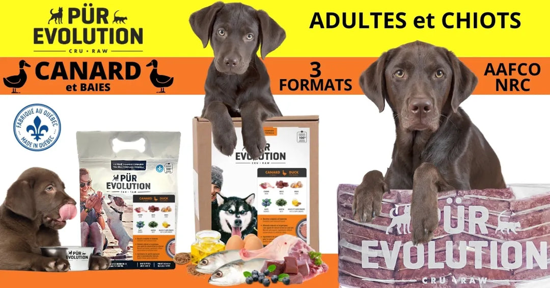 Pür Evolution nourriture crue pour chiens Canard et Baies