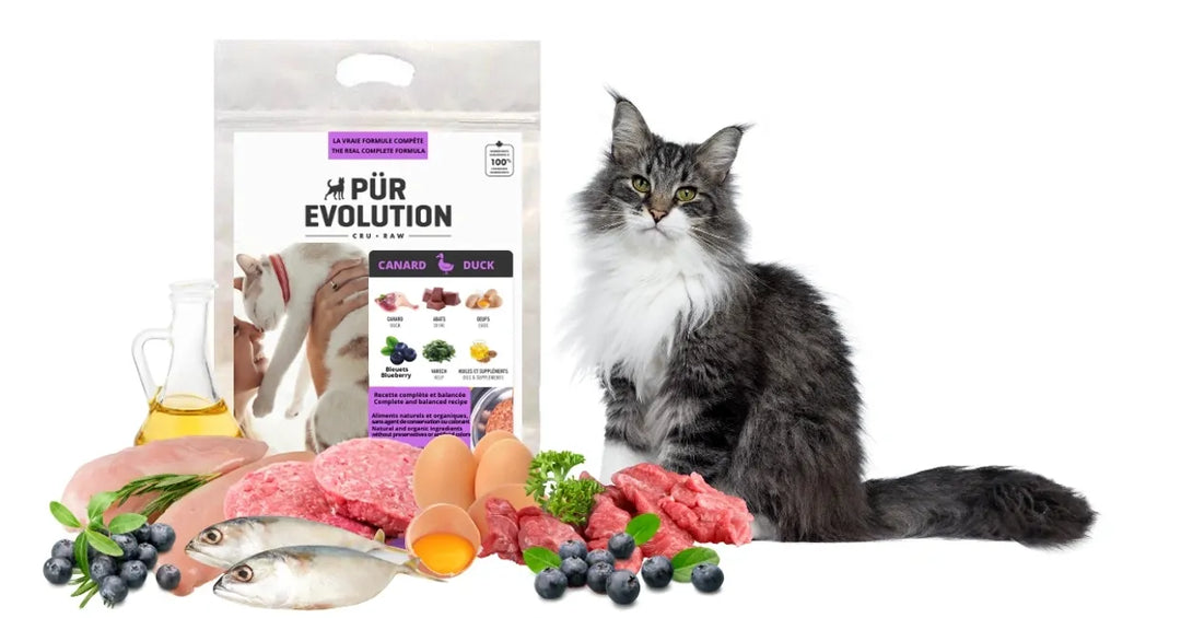 Pür Evolution nourriture crue pour chats Canard