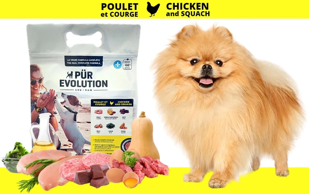 Pür Evolution nourriture crue pour chiens Poulet et Courges