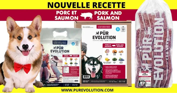 Pür Evolution nourriture crue pour chiens Porc et Saumon