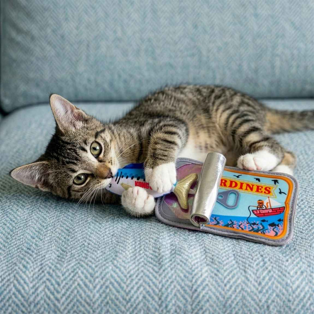 Kong jouet pour chats Crackles Sardines