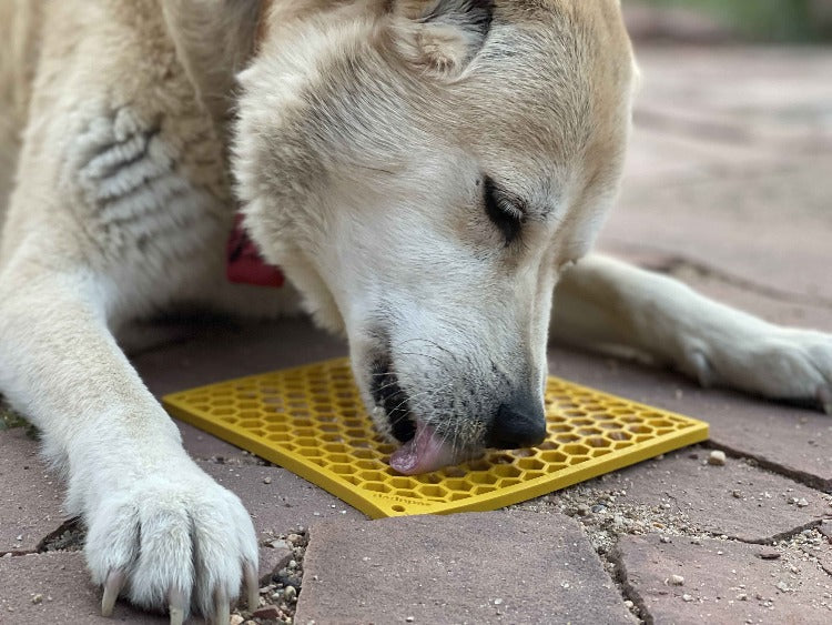 SodaPup tapis à lécher Honeycomb