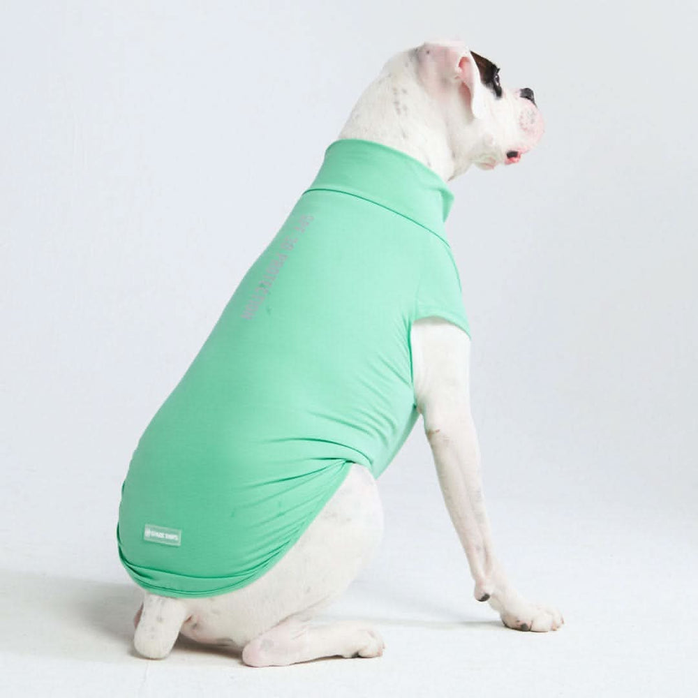 Spark Paws chandail pour chiens avec protection FPS 30