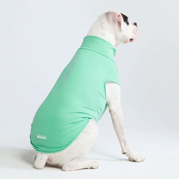 Spark Paws chandail pour chiens avec protection FPS 30
