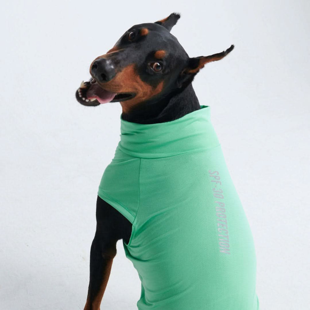 Spark Paws chandail pour chiens avec protection FPS 30
