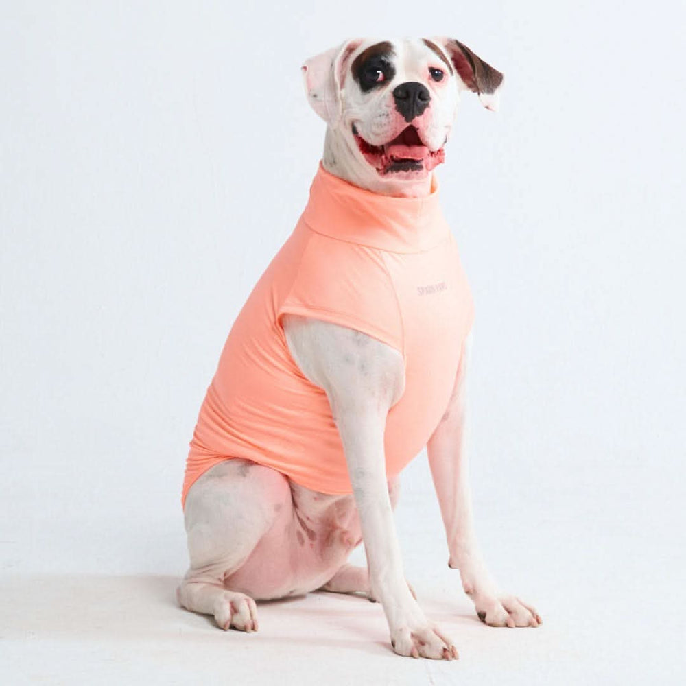Spark Paws chandail pour chiens avec protection FPS 30