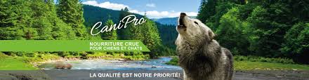 Canipro nourriture crue pour chats Boeuf et Agneau 30 lb