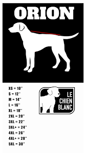 Le chien blanc manteau pour chiens Orion