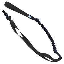 Le chien blanc bungee de canicross