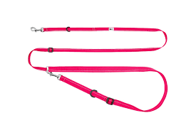 RC Pets laisse multifonction Primary Active