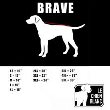 Le chien blanc manteau 4 pattes Brave