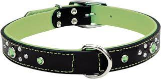 Circle T collier en cuir pour chien vert 18''