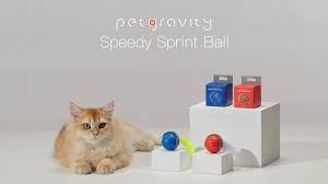 Pet Gravity balle automatique Speedy Tail