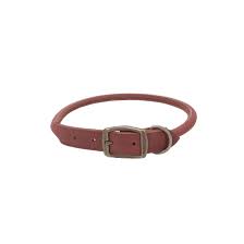 Circle T collier en cuir pour chiens 14''