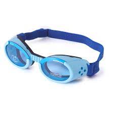 Doggles lunettes de protection pour chiens