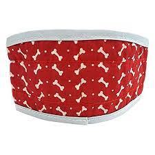 FouFit foulard refroidissant pour chien Cooling Collar