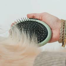 Dexas brosse à paume