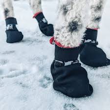 Le chien blanc botte courte Grip