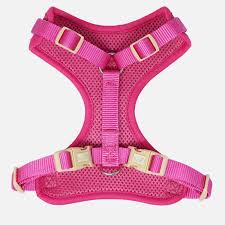 Petite Pistache harnais en mailles pour petits chiens