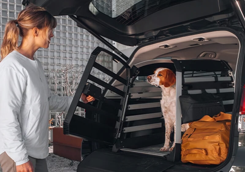 Thule cage de voiture pour chiens Allax