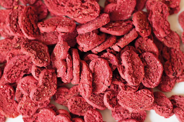 Todd & Paul gâterie végétarienne pour chiens Betterave 120g