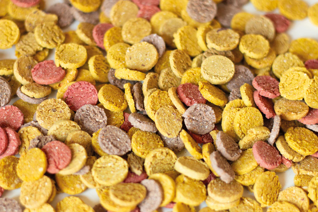 Todd & Paul gâterie végétarienne pour chiens Pastilles assorties 120g