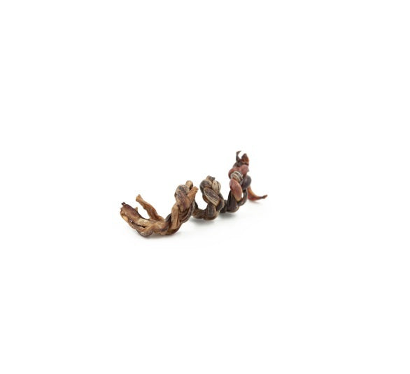 Tresse de porc en spirale (pizzle) 5-6''