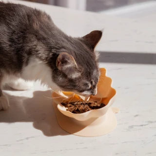 Ollie B Good bol interactif pour chats Whiskies