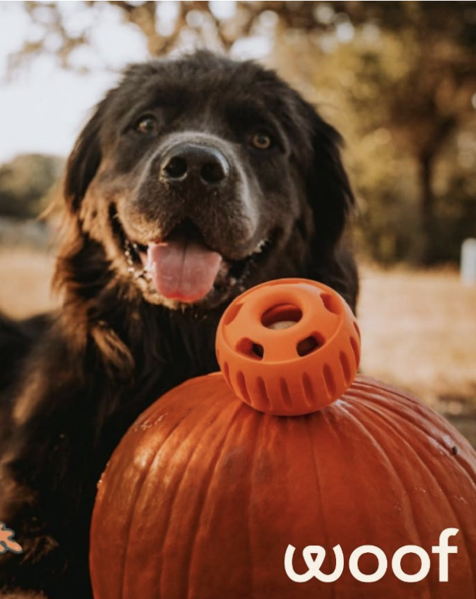 Woof Pupsicle jouet interactif à remplir Automne Orange (édition limitée)