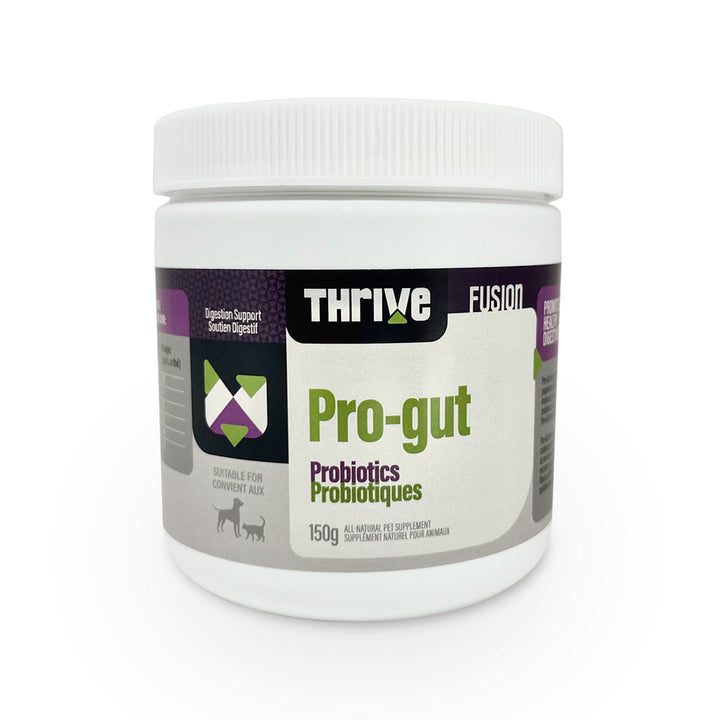 Thrive Pro-gut probiotiques 150g